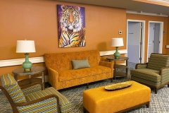 Day-Room-2